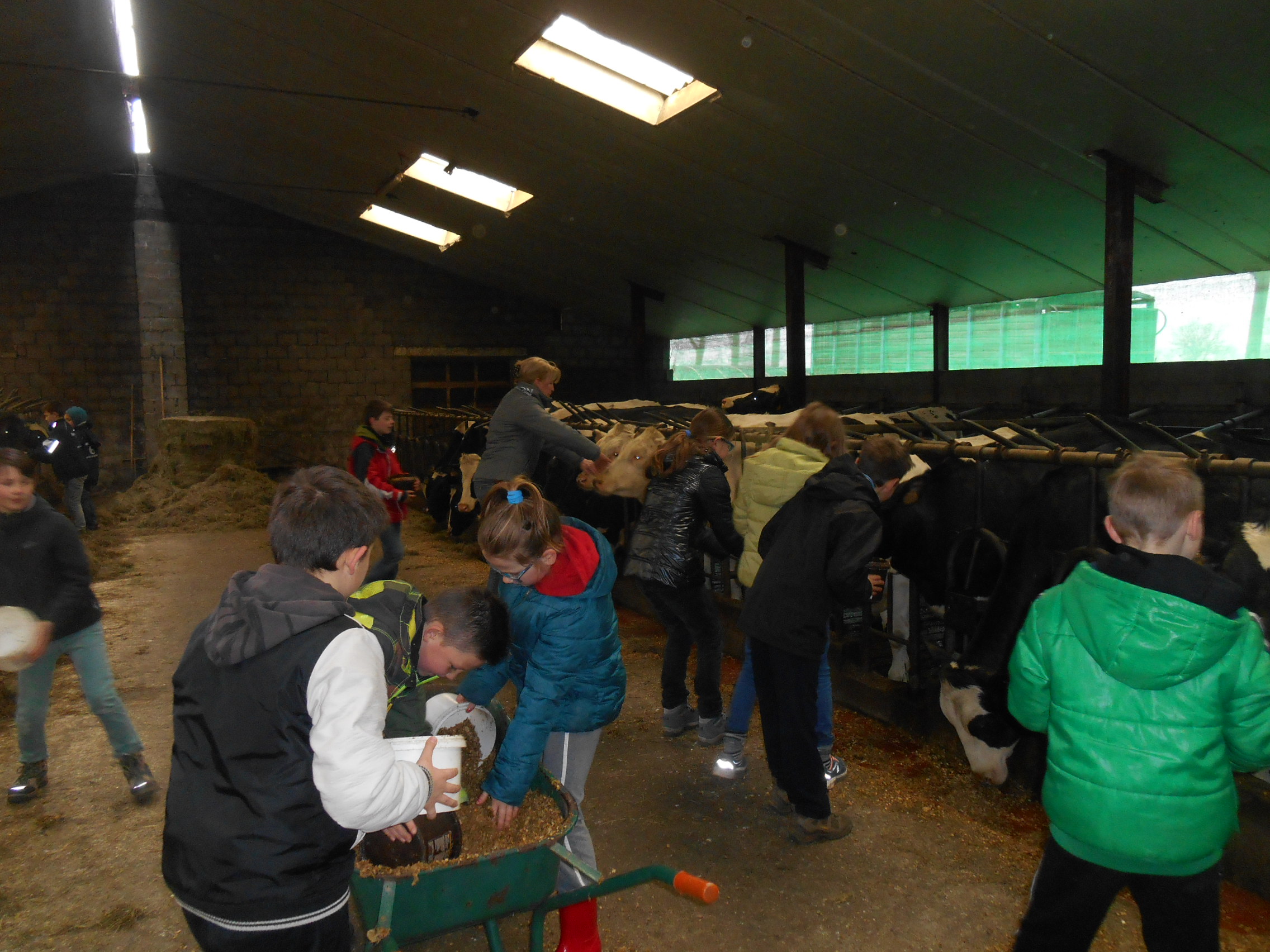 Op uitstap naar de Sint-Jozefhoeve (vierde leerjaar)